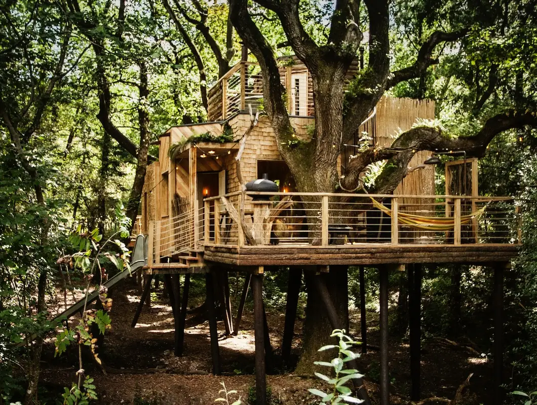 The Woodsman&rsquo;s Treehouse in the ancient oak at Cedar Hollow Dorset