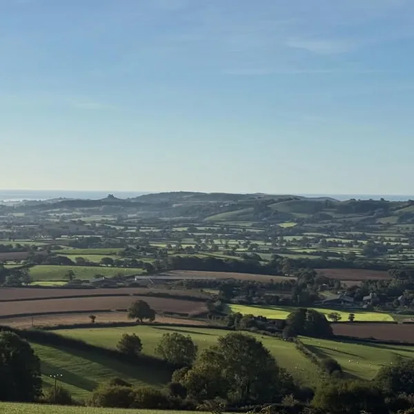 Rolling Dorset farmland under a clear sky