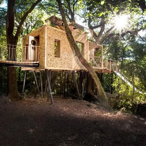 A timber treehouse raised among sunlit trees