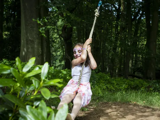 A child on a rope swing among the beeches in the Cedar Hollow woodland