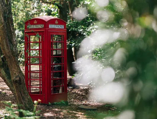 The red telephone box tucked into the dappled woodland at Cedar Hollow Oxford
