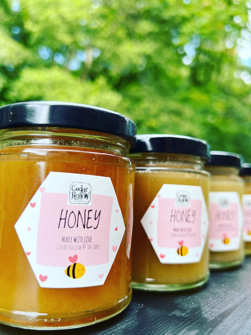 Cedar Hollow Honey (227g)