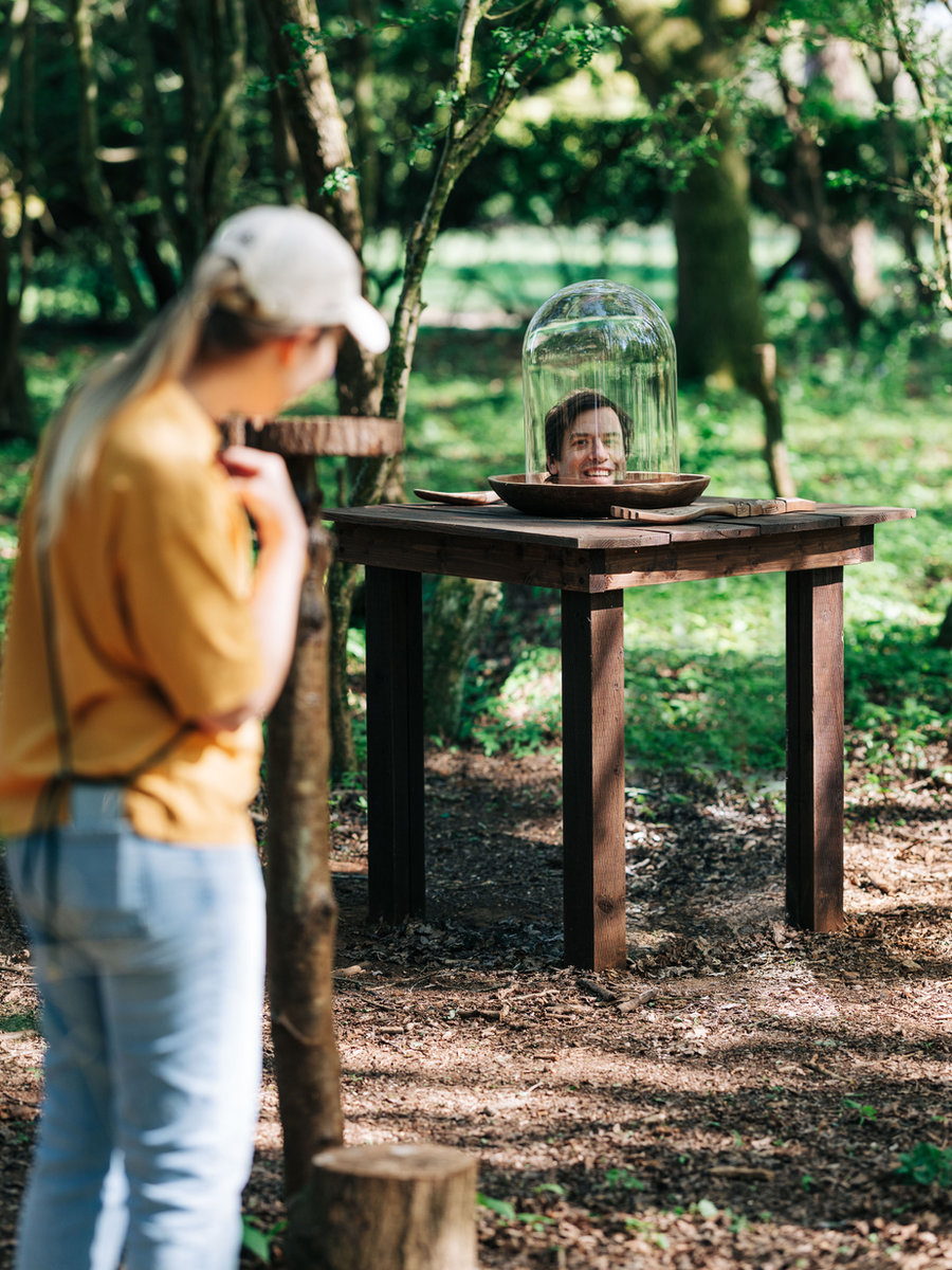 Illusions in the Eastern Woods